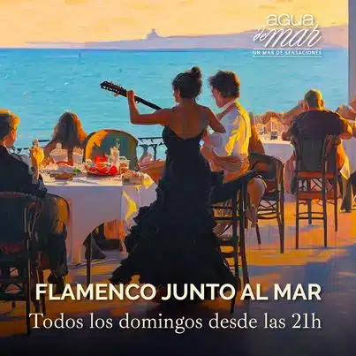 Flamenco junto al mar