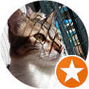 Andrea Sola Costa profile picture