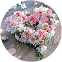 Irene R profile picture