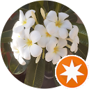 Michael Boch profile picture