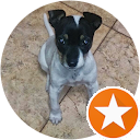 Pedro J. Roselló profile picture