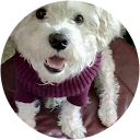 Maribel Lloret Elgarbay profile picture