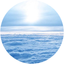 Crina Vasiliu profile picture