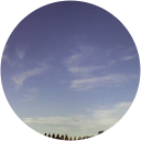 Sal Lu profile picture