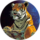 Lily 9294 profile picture