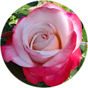 Eduard Hof profile picture