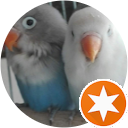 Jesús Pardo lópez profile picture