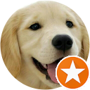 proikerjovsol 1 profile picture