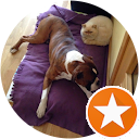 Palmira Rodriguez profile picture