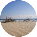 Carmen Corral profile picture