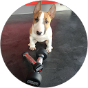 Florian Klein profile picture