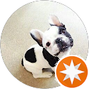 Javier Vela profile picture