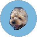 Yolanda Alonso Terciado profile picture