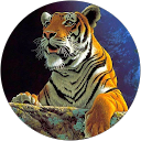 Lily 9294 profile picture