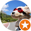 Charlie profile picture