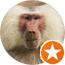 TIOMAN THAI profile picture