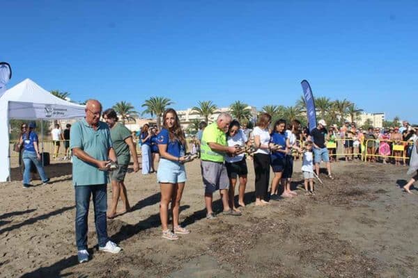 Liberación de tortugas en la playa con asistentes.