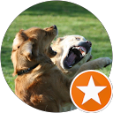 rene hop profile picture