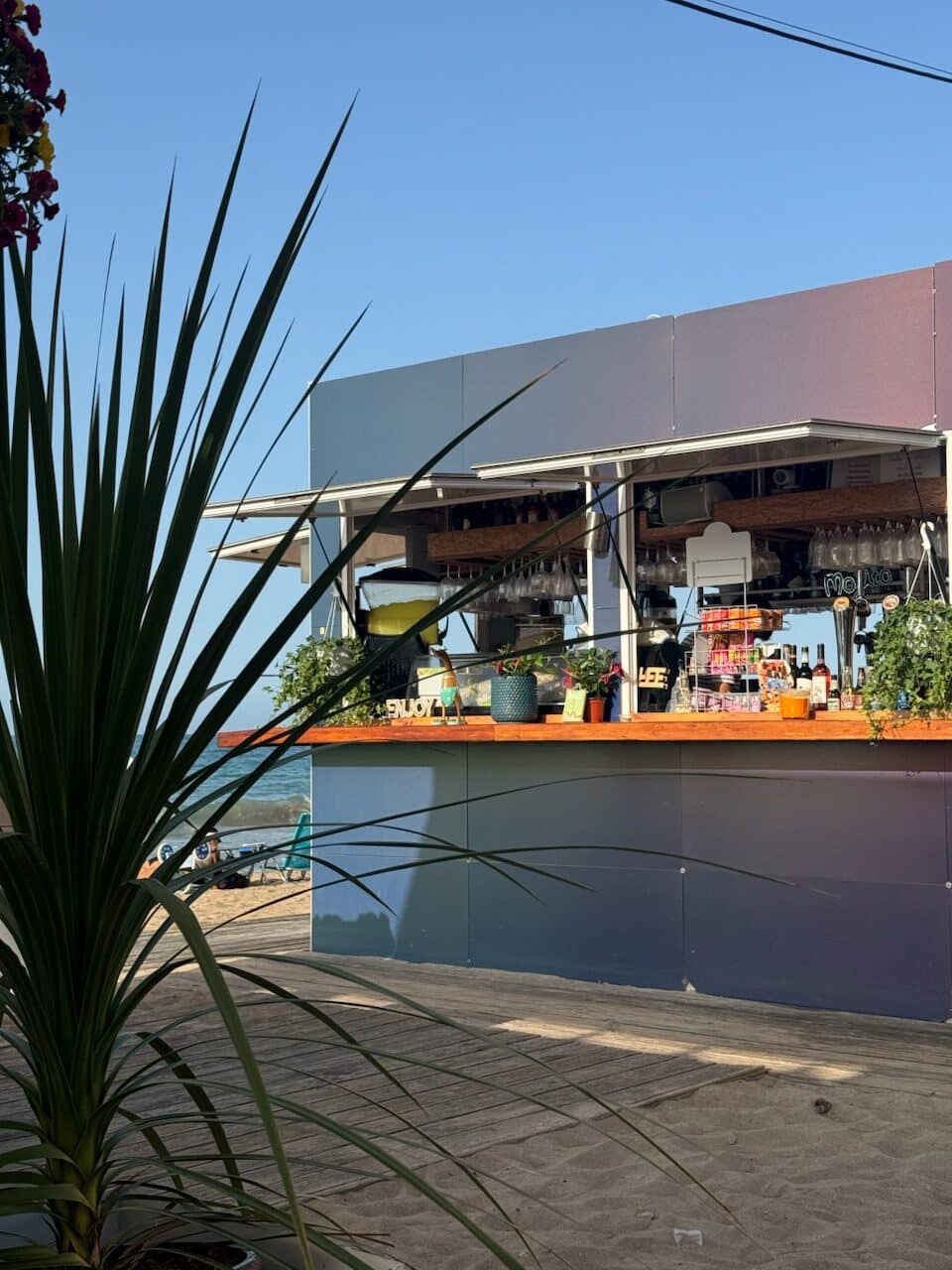 Chiringuito en playa con palmera