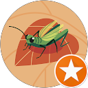 María M profile picture