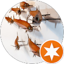 Martin Martin profile picture