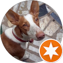 Lidia Llobell profile picture