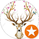 Karina D. profile picture