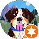 Sue Hinton profile picture