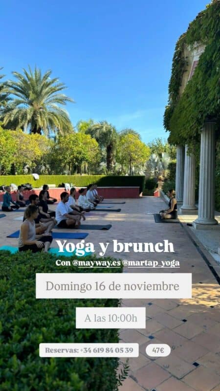 Sesión de yoga al aire libre en jardín.