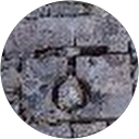 Nick Kepros Collias profile picture