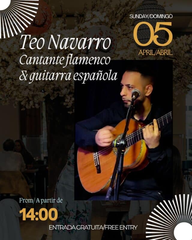 Cartel concierto flamenco Teo Navarro guitarra española