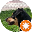 Foto de perfil de P.